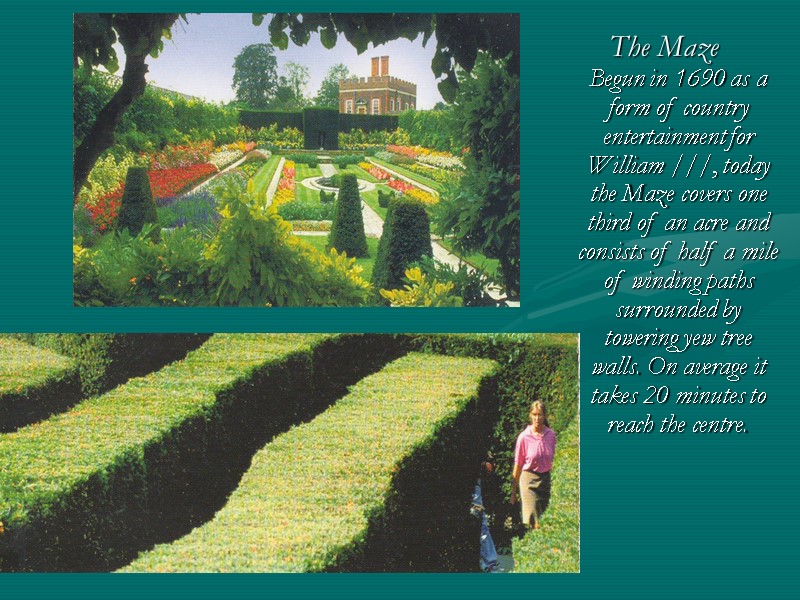 The Maze Begun in 1690 as a form of country entertainment for William ///,